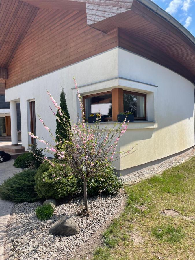 Apartament Przy Lesie Chojno-Blota Wielkie エクステリア 写真