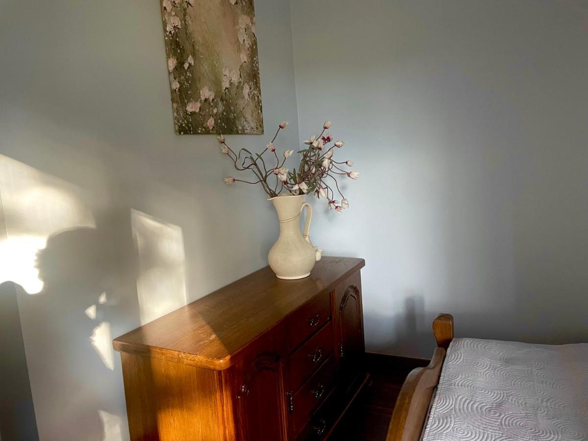 Apartament Przy Lesie Chojno-Blota Wielkie エクステリア 写真